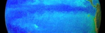 Ozeanfarbe am �quator im Ostpazifik im Januar 1998 (El Ni�o): kaum Chlorophyll
