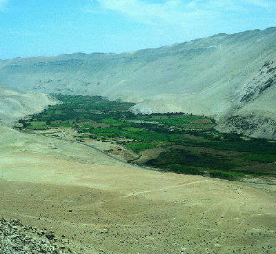 Flussoase im k�stennahen Nordchile mit starkem Kontrast zwischen landwirtschaftlicher Nutzung und W�ste (Putre - Arica)