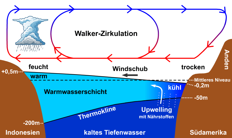 Walker-Zirkulation beim neutralen Zustand des Systems Ozean-Atmosphäre